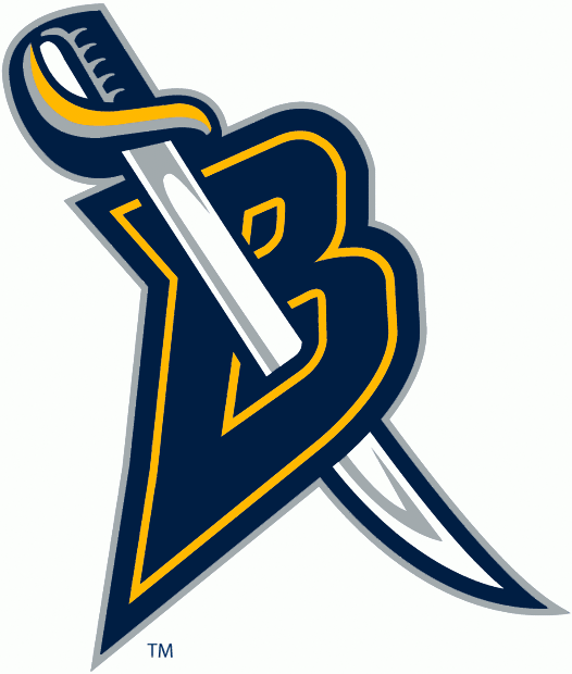 Buffalo Sabres 2006-2012 Alternate Logo iron on transfers for fabric version 2